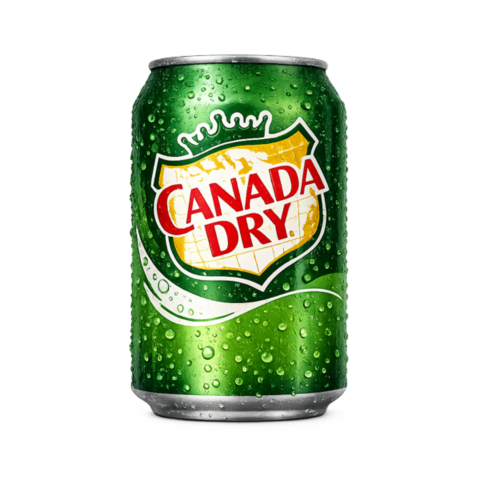 Canette Canada Dry soda au gingembre rafraîchissant
